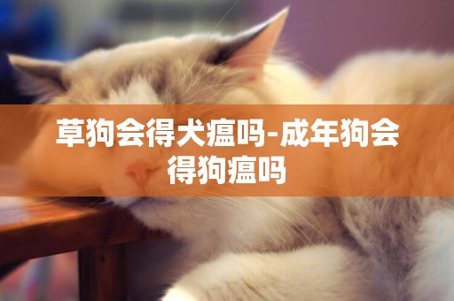 草狗會得犬瘟嗎-成年狗會得狗瘟嗎