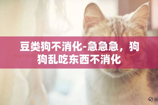 豆類狗不消化-急急急，狗狗亂吃東西不消化