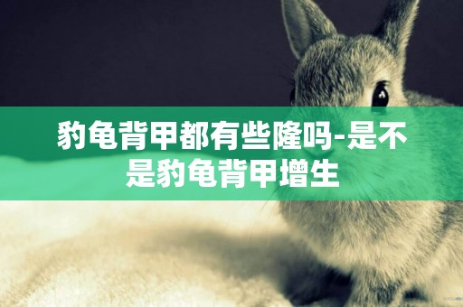 豹龜背甲都有些隆嗎-是不是豹龜背甲增生