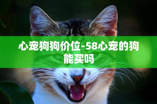 心寵狗狗價位-58心寵的狗能買嗎