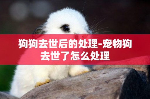 狗狗去世后的處理-寵物狗去世了怎么處理