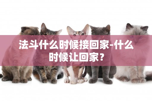 法斗什么時候接回家-什么時候讓回家？