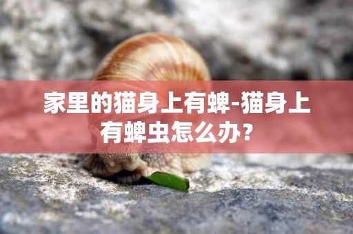 家里的貓身上有蜱-貓身上有蜱蟲怎么辦？