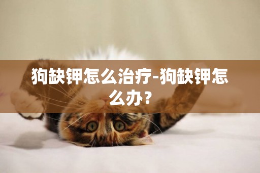狗缺鉀怎么治療-狗缺鉀怎么辦？