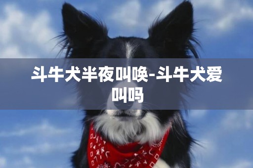 斗牛犬半夜叫喚-斗牛犬愛叫嗎