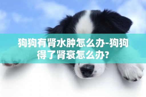 狗狗有腎水腫怎么辦-狗狗得了腎衰怎么辦?