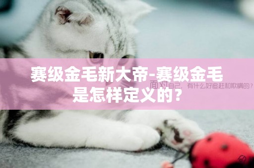 賽級金毛新大帝-賽級金毛是怎樣定義的？