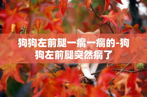 狗狗左前腿一瘸一瘸的-狗狗左前腿突然瘸了