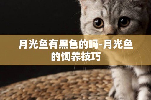 月光魚有黑色的嗎-月光魚的飼養技巧