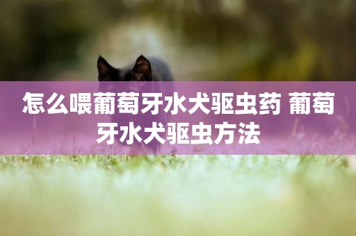 怎么喂葡萄牙水犬驅蟲藥 葡萄牙水犬驅蟲方法