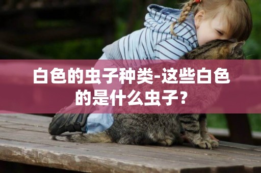 白色的蟲子種類-這些白色的是什么蟲子？