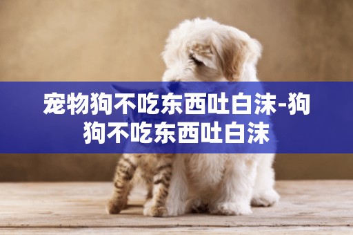 寵物狗不吃東西吐白沫-狗狗不吃東西吐白沫