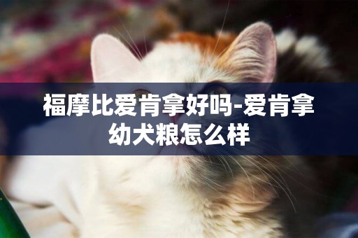 福摩比愛肯拿好嗎-愛肯拿幼犬糧怎么樣