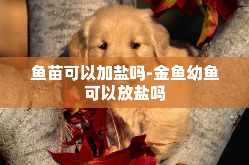 魚苗可以加鹽嗎-金魚幼魚可以放鹽嗎