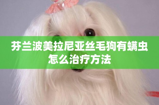 芬蘭波美拉尼亞絲毛狗有螨蟲怎么治療方法