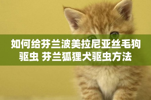 如何給芬蘭波美拉尼亞絲毛狗驅蟲 芬蘭狐貍犬驅蟲方法