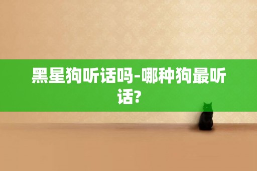 黑星狗聽話嗎-哪種狗最聽話?
