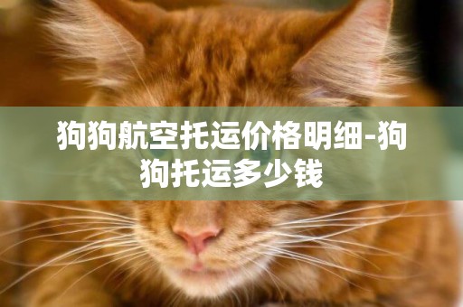 狗狗航空托運價格明細-狗狗托運多少錢