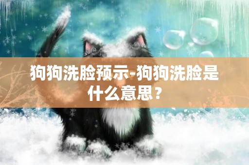 狗狗洗臉預示-狗狗洗臉是什么意思？