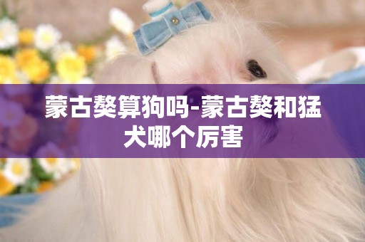 蒙古獒算狗嗎-蒙古獒和猛犬哪個厲害