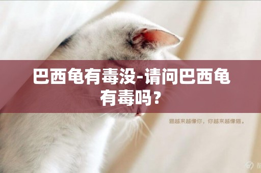 巴西龜有毒沒-請問巴西龜有毒嗎？