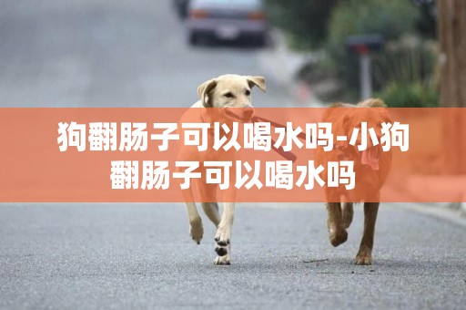 狗翻腸子可以喝水嗎-小狗翻腸子可以喝水嗎