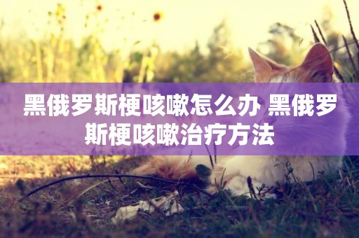 黑俄羅斯梗咳嗽怎么辦 黑俄羅斯梗咳嗽治療方法