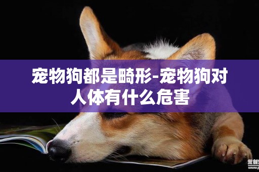 寵物狗都是畸形-寵物狗對人體有什么危害