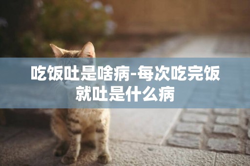 吃飯吐是啥病-每次吃完飯就吐是什么病