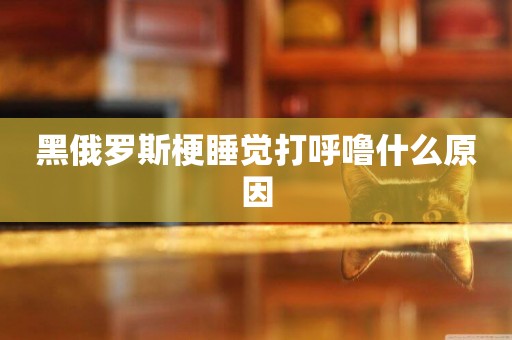 黑俄羅斯梗睡覺打呼嚕什么原因
