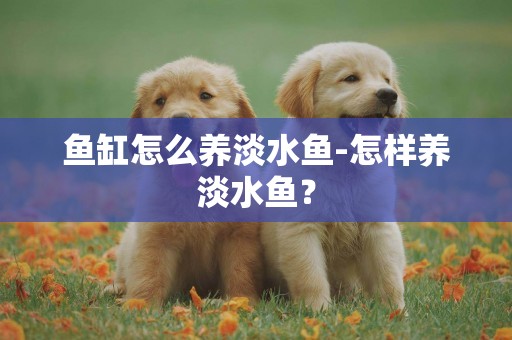 魚缸怎么養淡水魚-怎樣養淡水魚？