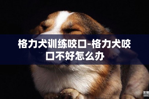 格力犬訓練咬口-格力犬咬口不好怎么辦
