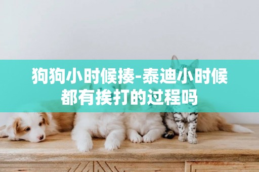 狗狗小時候揍-泰迪小時候都有挨打的過程嗎