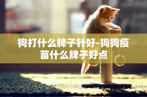 狗打什么牌子針好-狗狗疫苗什么牌子好點