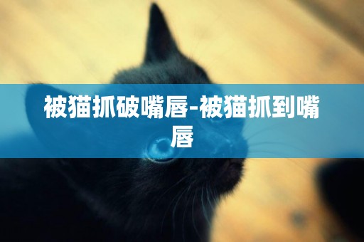 被貓抓破嘴唇-被貓抓到嘴唇