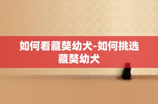如何看藏獒幼犬-如何挑選藏獒幼犬