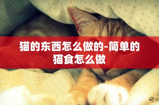 貓的東西怎么做的-簡單的貓食怎么做