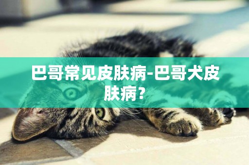 巴哥常見皮膚病-巴哥犬皮膚病？