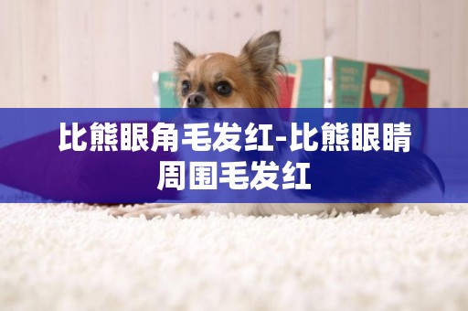 比熊眼角毛發紅-比熊眼睛周圍毛發紅