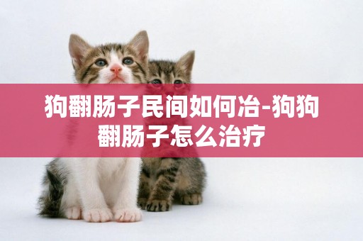 狗翻腸子民間如何冶-狗狗翻腸子怎么治療