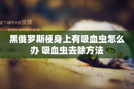 黑俄羅斯梗身上有吸血蟲怎么辦 吸血蟲去除方法