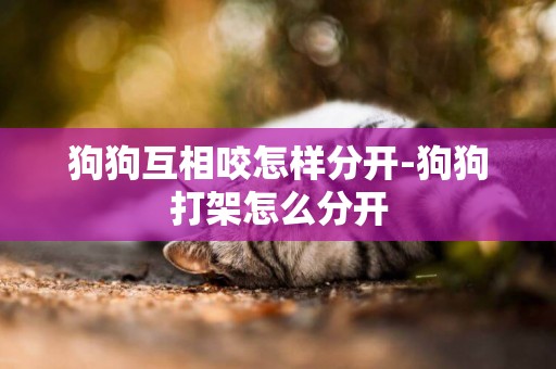 狗狗互相咬怎樣分開-狗狗打架怎么分開