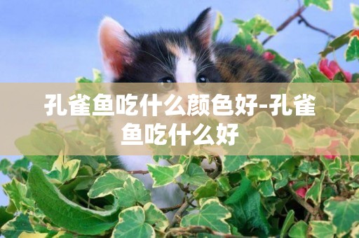 孔雀魚吃什么顏色好-孔雀魚吃什么好