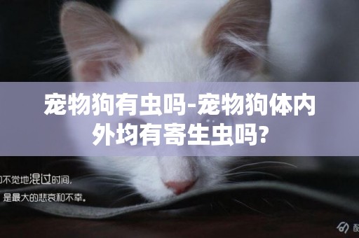 寵物狗有蟲嗎-寵物狗體內外均有寄生蟲嗎?