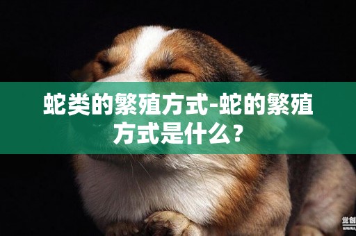 蛇類的繁殖方式-蛇的繁殖方式是什么？