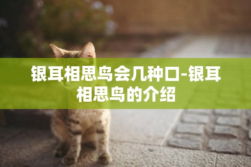 銀耳相思鳥會幾種口-銀耳相思鳥的介紹