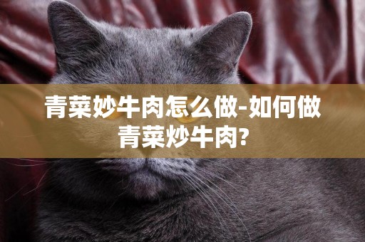 青菜妙牛肉怎么做-如何做青菜炒牛肉?