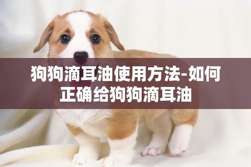 狗狗滴耳油使用方法-如何正確給狗狗滴耳油