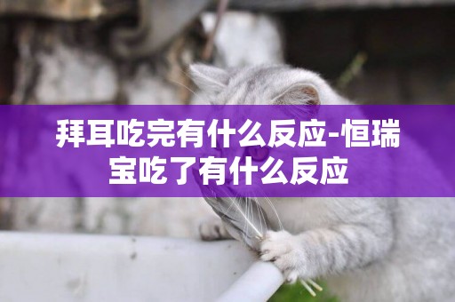 拜耳吃完有什么反應-恒瑞寶吃了有什么反應