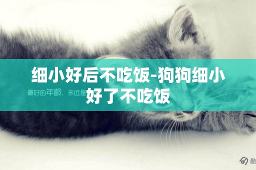 細小好后不吃飯-狗狗細小好了不吃飯